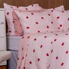 Cobre Leito Estampado Solteiro 2 Peças Alto PAdrão