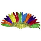 Cocar Indígena de Carnaval Colorido de Penas Cocar Indígena de Carnaval Colorido de Penas