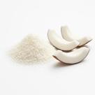 Coco Ralado Fino 55% Gordura 500g Coco Ralado Fino 55% Gordura 500g