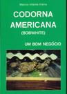 Codorna Americana ( Bobwhite ) Um Bom Negócio