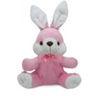 coelhinho de pelúcia brinquedo infantil coelho pelúcia coelho da páscoa 25x21cm *01 unidade coelhinho de pelúcia brinquedo infantil coelho pelúcia coelho da páscoa 25x21cm *01 unidade