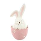 Coelho Da Pascoa Pote Rainbow Rosa 20x11cm 1Un 1094543