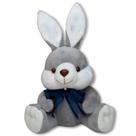 Coelho de Pelúcia 25 cm Antialérgico Lavável Certificado