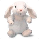 Coelho De Pelúcia Coelhinho Pascoa Gorducho 20cm Brinquedo Decorativo Antialérgico