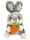 Coelho de Pelúcia com Cenoura 24cm Sortido Fizzy FEC7563