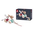 Coelhos para passear com rodinhas