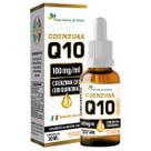 COENZIMA Q10 (100mg/mL) gotas Sabor Laranja 30mL - FLORA NATIVA