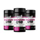 Coenzima Q10 4well 200mg - 60 cápsulas 30 Doses - Combo 3 Potes