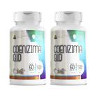 COENZIMA Q10 500mg 60 Cápsulas CAPS COENZIMA Q10 500mg 60 Cápsulas CAPS