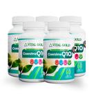 COEZIMA Q10 - 500mg (60 Cápsulas) VITAL GOLD