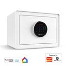 Cofre Eletrônico Digital Portátil Chave Senha Compatível Alexa Google Home App Pandaplus Tuya 25x35x25 Preto