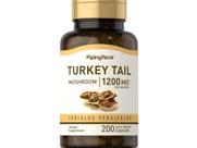 Cogumelo Turkey Tails 600mg 200caps Importado Cogumelo Turkey Tails 600mg 200caps Importado