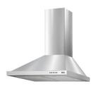 Coifa e Depurador de Parede EOS 60 cm ECO60PP Inox 220V