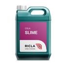Cola Branca Para Tintas e Cimentos 5KG (RICLACOL 1245 DF)