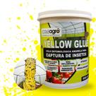 Cola Insetos Entomológica Amarela 500ml Yellow Glue Coleagro Cola Entomológica para Insetos Produto Atóxico