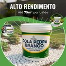 Cola Pedra Branco Fixador de Pedras para Jardim 10 Litros
