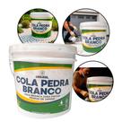 Cola Pedra Branco Selante Fixador LíquidoImpermeabilizante Decorativas Jardim VBrasil 10 Litros