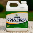 Cola Pedra Fixador De Pedras Para Jardim 5 Litros Vbrasil