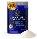 Colágeno em pó GOLDOPUS Marine com ácido hialurônico 10g/dose