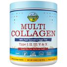 Colágeno em pó Terranics Multi Tipo I II III V X 473mL
