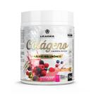Colágeno Hidrolisado + Ácido Hialurônico 250g Leader Nutrition Colágeno Hidrolisado + Ácido Hialurônico 250g Leader Nutrition