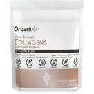 Colágeno Hidrolisado em Pó Organixx com Vitamina C - 15 Porções
