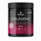 Colágeno Hidrolisado Hialurônico Q10 Cranberry 300g Saúde Colágeno Hidrolisado Hialurônico Q10 Cranberry 300g Saúde