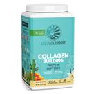 Colágeno Hidrolisado Sunwarrior - Pó para Construção Muscular - 40 Porções