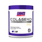 Colageno Hidrolisado Verisol Sem Sabor 250g Giants Nutrition Colageno Hidrolisado Verisol Sem Sabor 250g Giants Nutrition