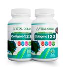 COLÁGENO TIPO 123 - 500mg (60 Cápsulas) VITAL GOLD