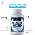 Colágeno Tipo 2 100 Cápsulas de 500mg