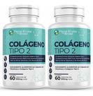 Colágeno Tipo 2 120 Cápsulas 500 mg UC 2 Vitaminas C , E, B6 b1 B12 D3 Articulções 2 frasco x 60 Caps colageno