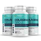 Colágeno Tipo 2 500mg 180 Cápsulas Vitaminas C , E, B6 b1 B12 D3 Niacina Articulções UC 2 3 frascos x 60 Cápsulas