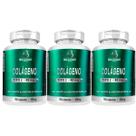 Colágeno Tipo 2 - Puro 540 Cápsulas (3 Potes) Bulgarian - COLÁGENO TIPO II