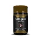 Colágeno tipo ii 120 cápsulas hf suplementos