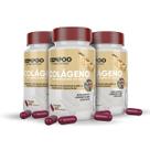Colágeno Tipo II não Hidrolisado 60cap Kempoo Nutracêuticos