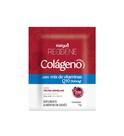 Colageno verisol coenzima q10 frutas vermelhas 30 saches katigua