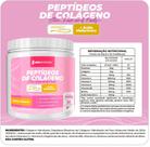 Colágeno Verisol com Ácido Hialurônico 300g New Nutrition Colágeno Verisol com Ácido Hialurônico 300g New Nutrition