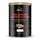 Colágeno Verisol Sabor Frutas Vermelhas Phnutre 300g