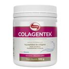 Colagentek Colágeno Hidrolisado Sabor Neutro Vitafor 300g