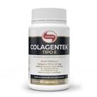 Colagentek Tipo Ii Msm Ácido Hialurônico (60 Caps) Vitafor