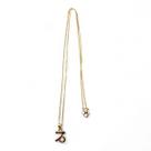 Colar Capricórnio Signo do Zodíaco Pingente Dourado 30 cm