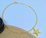 Colar Choker Elo Aro Liso Metal com Pingente Estrela do Mar Folheado Ouro Dourado Moda Blogueira Lançamento 2023
