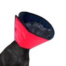 Colar Cone Elizabetano Impermeável Pet Para Cachorro