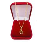 Colar Correntinha Feminina Banhada a Ouro 18 k Ferradura Cavalo Country Zircônias Cravejadas