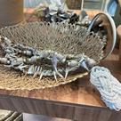 Colar De Mesa Maldivas Tricê Casa Bonita - Pç
