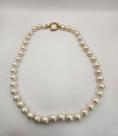 Colar de Pérolas Brancas Extras Naturais 10mm Fecho Ouro 18k Colar de Pérolas Brancas Extras Naturais 10mm Fecho Ouro 18k