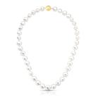 Colar de pérolas shell ovaladas banhado a ouro - 45 cm