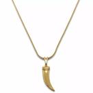 Colar Dente de Sabre e Corrente Banhado a Ouro 18K