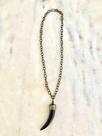 colar dente preto